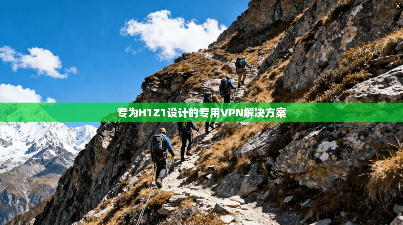 专为H1Z1设计的专用VPN解决方案