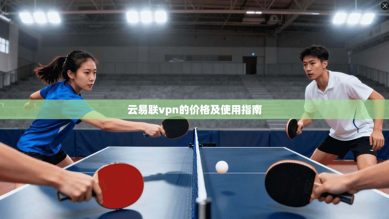 云易联vpn的价格及使用指南