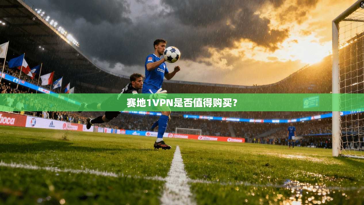 赛地1VPN是否值得购买？