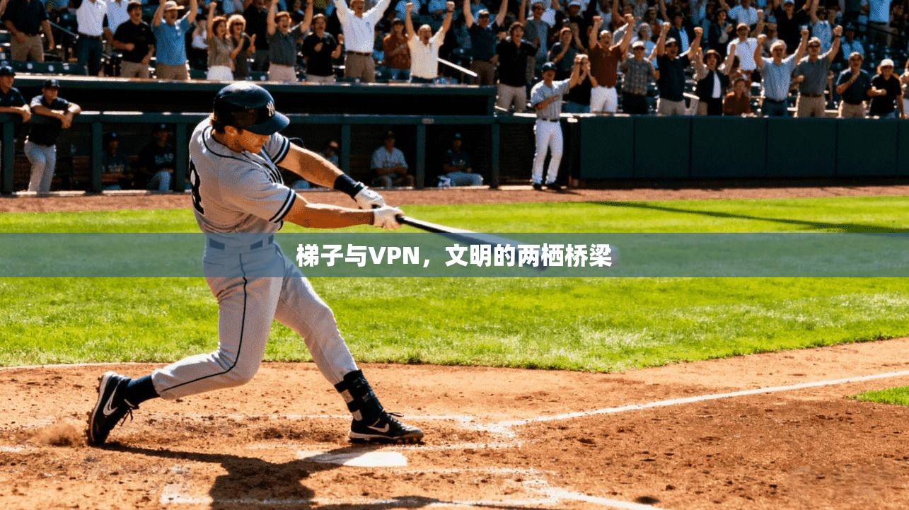 梯子与VPN，文明的两栖桥梁