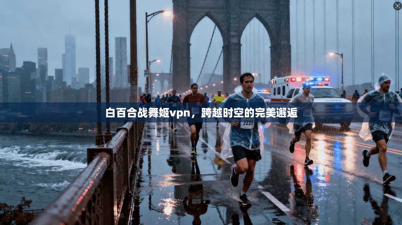 白百合战舞姬vpn，跨越时空的完美邂逅