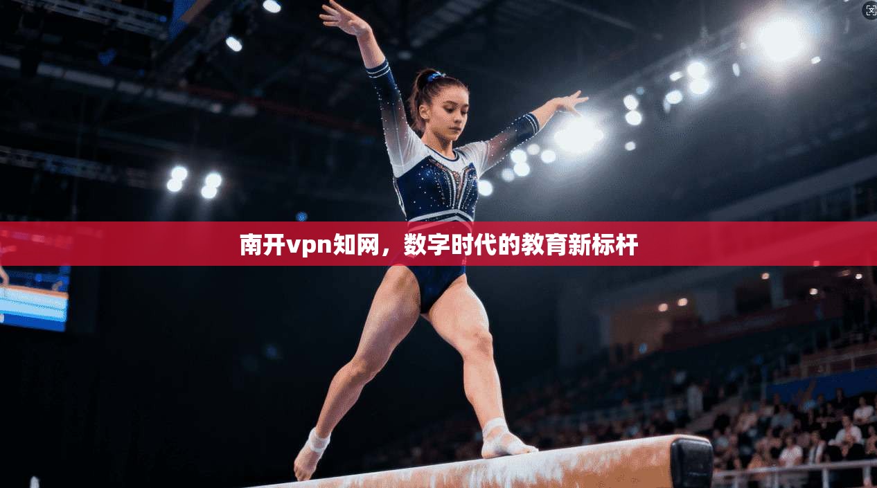 南开vpn知网，数字时代的教育新标杆
