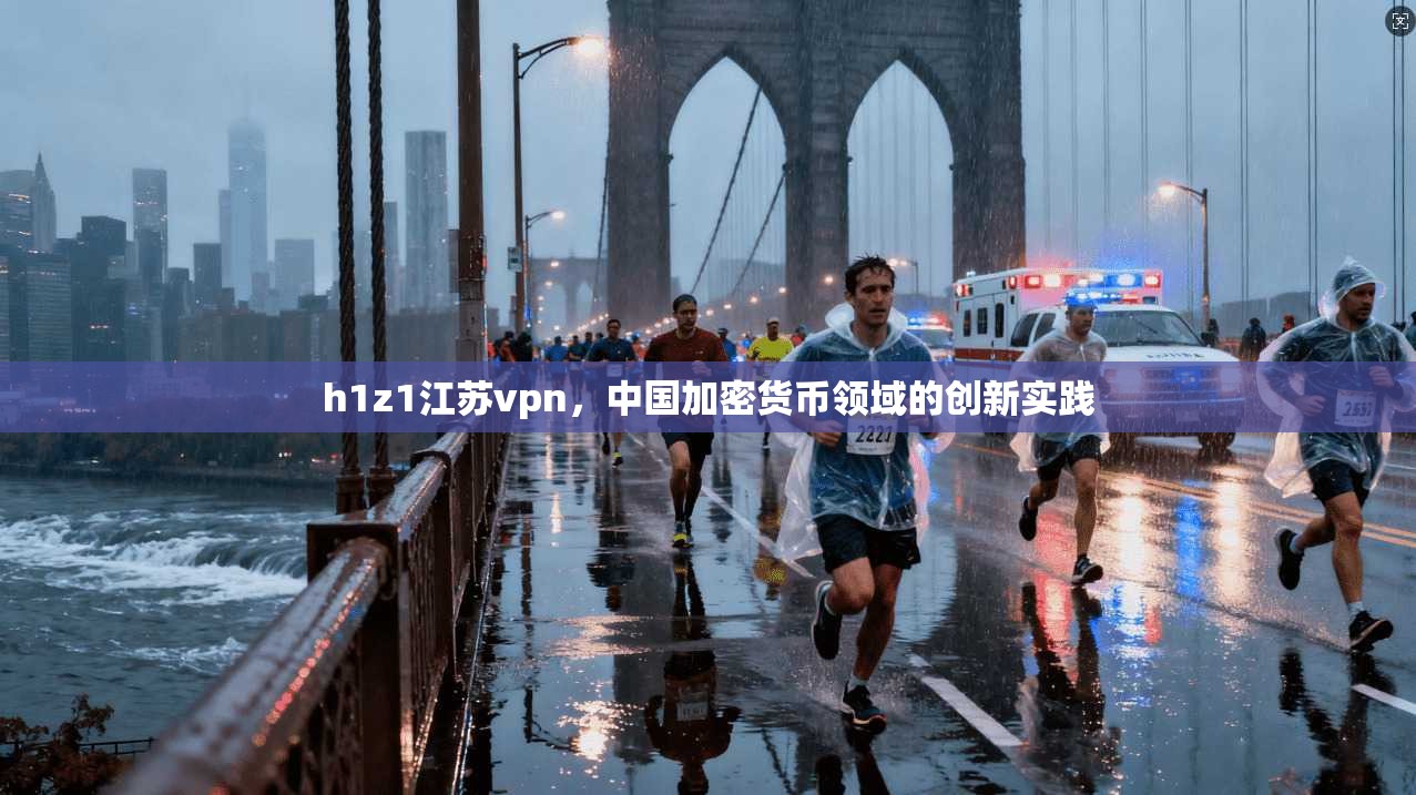 h1z1江苏vpn，中国加密货币领域的创新实践
