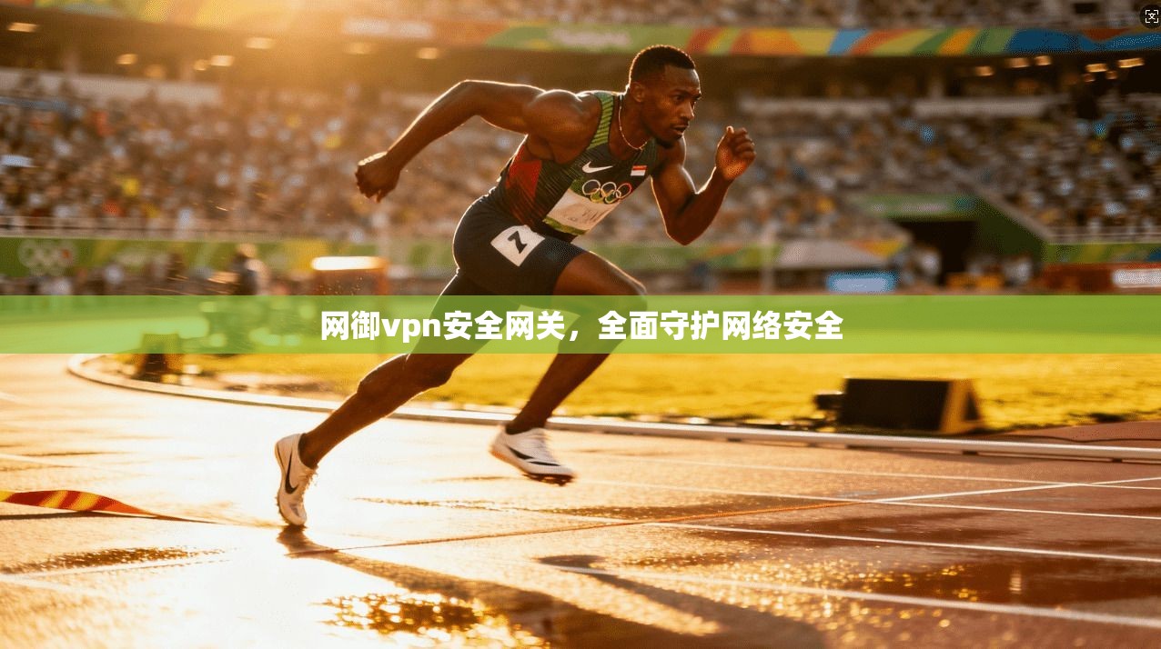 网御vpn安全网关，全面守护网络安全
