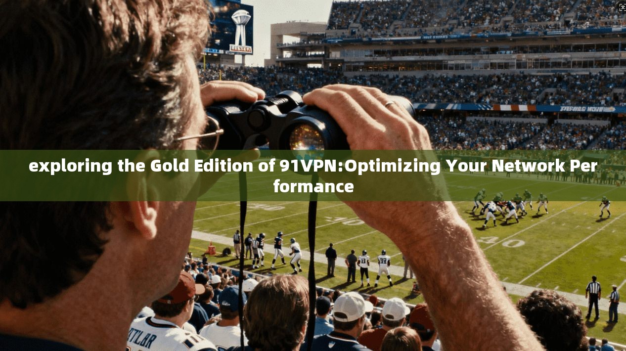 exploring the Gold Edition of 91VPN:Optimizing Your Network Performance