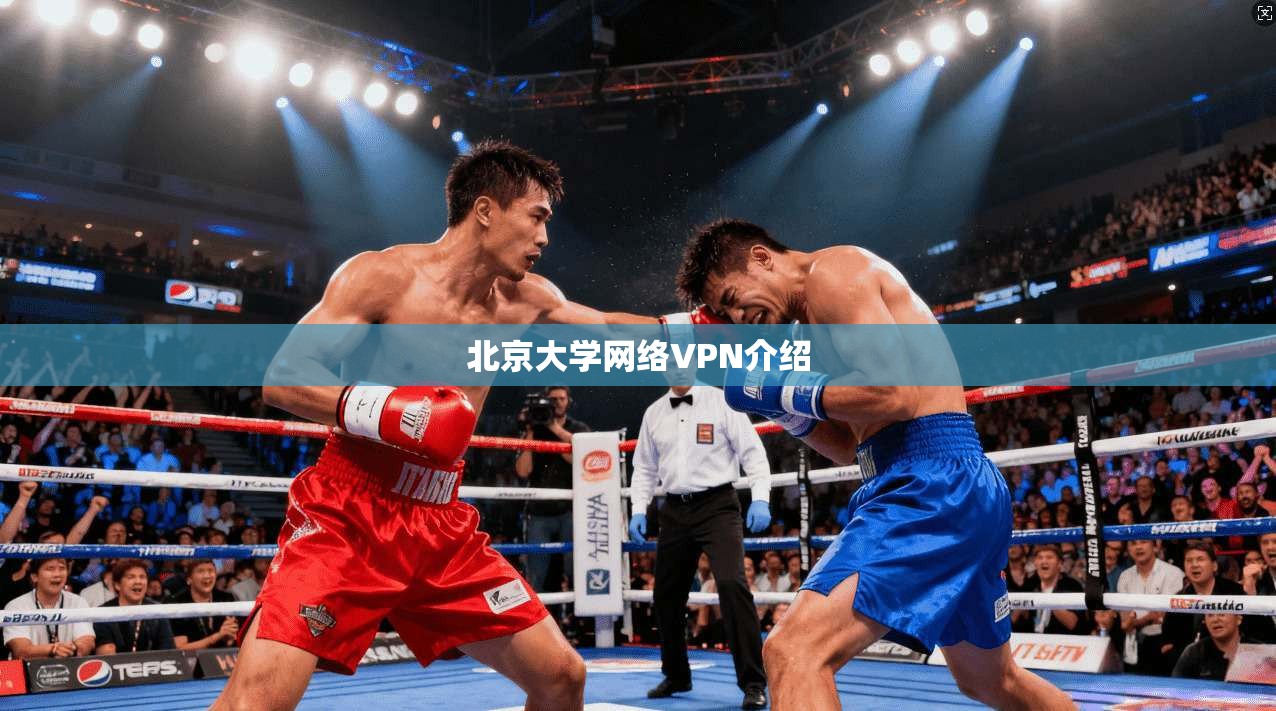 北京大学网络VPN介绍