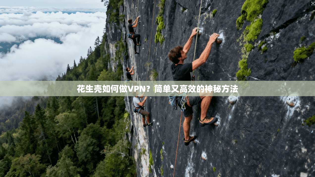 花生壳如何做VPN？简单又高效的神秘方法