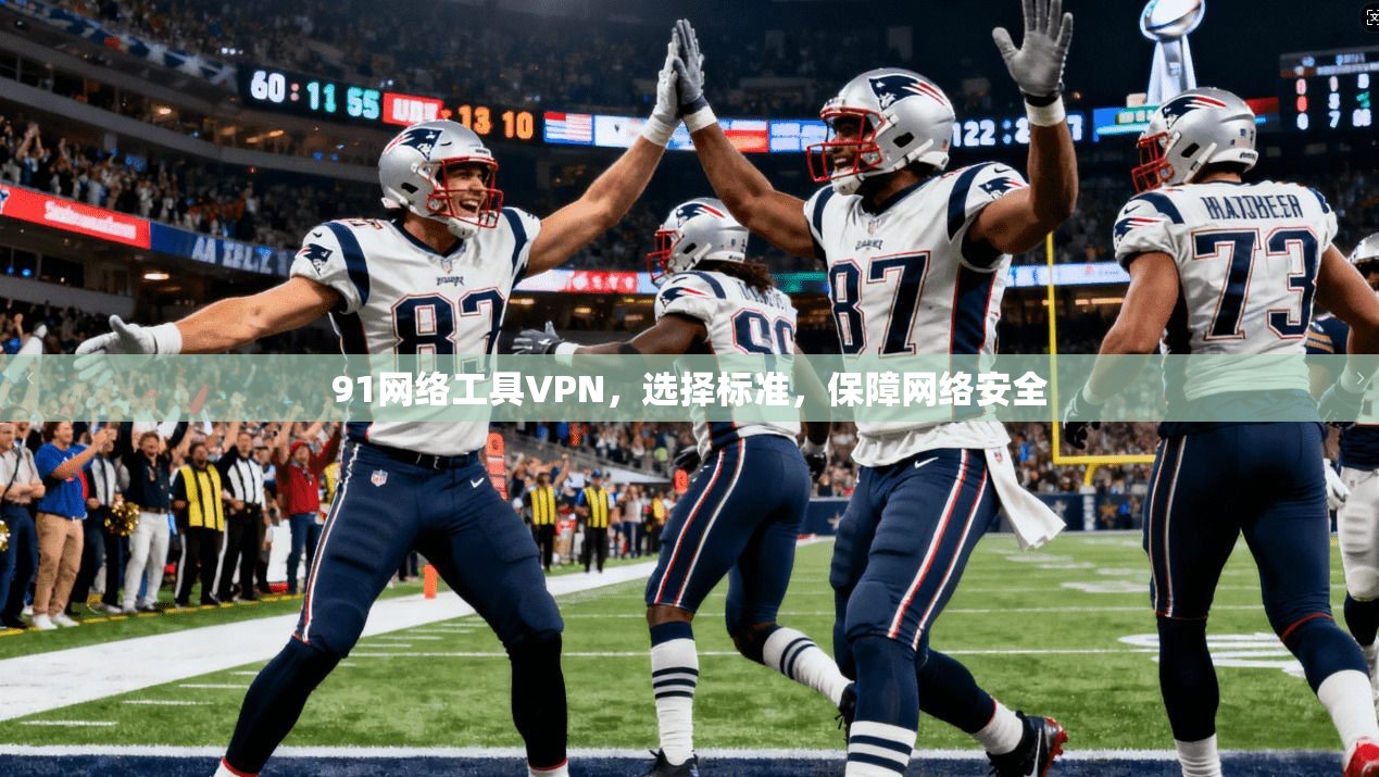 91网络工具VPN，选择标准，保障网络安全