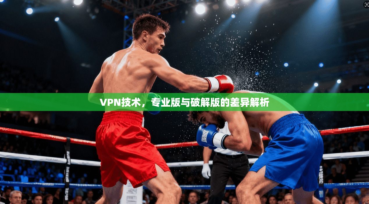 VPN技术，专业版与破解版的差异解析
