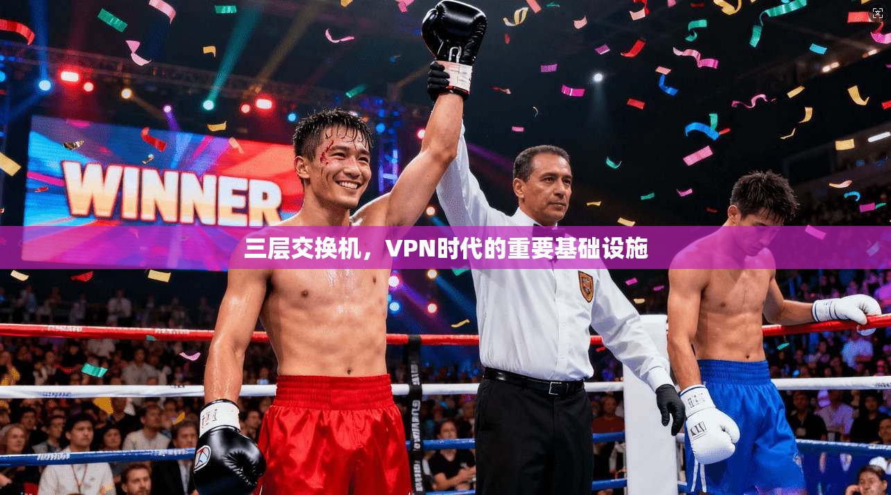 三层交换机，VPN时代的重要基础设施