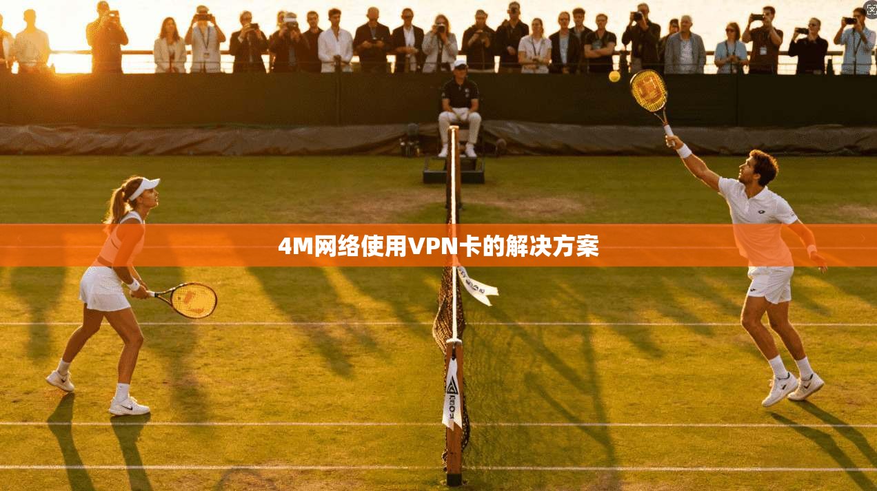 4M网络使用VPN卡的解决方案