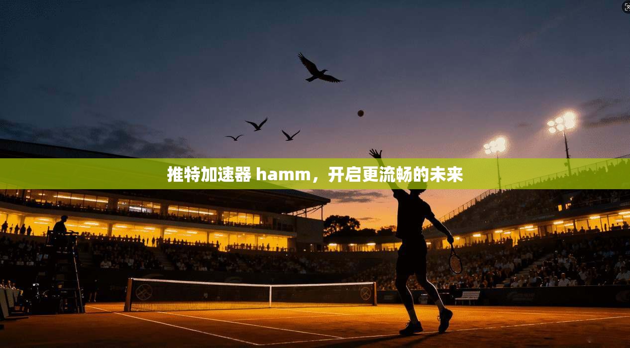 推特加速器 hamm，开启更流畅的未来
