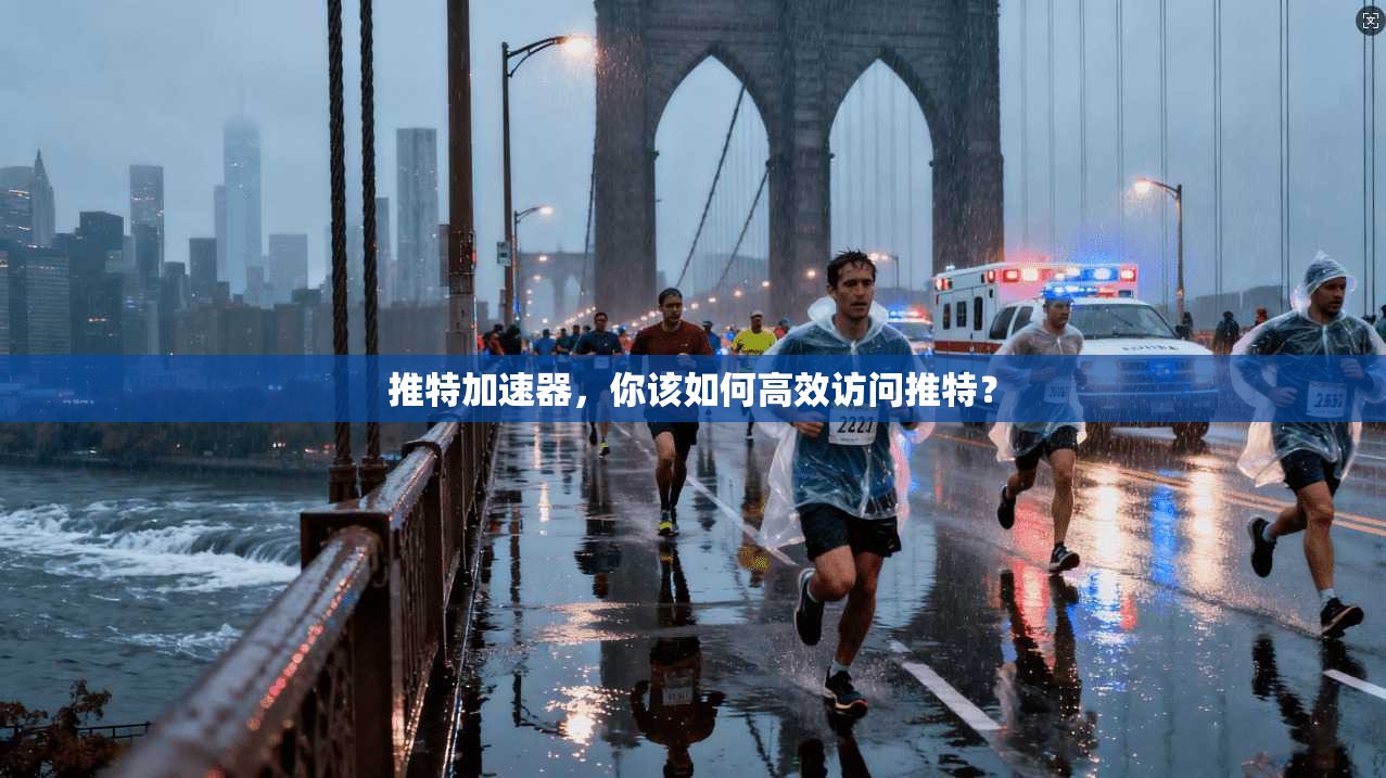 推特加速器，你该如何高效访问推特？