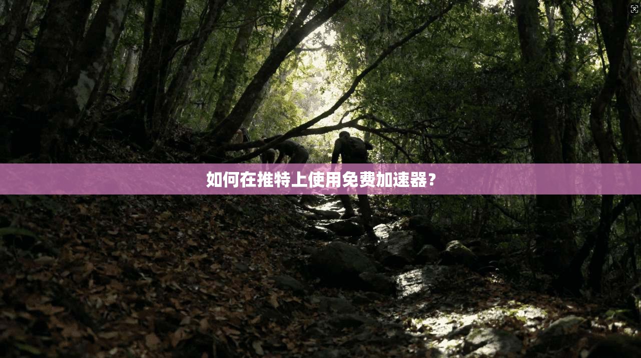 如何在推特上使用免费加速器？