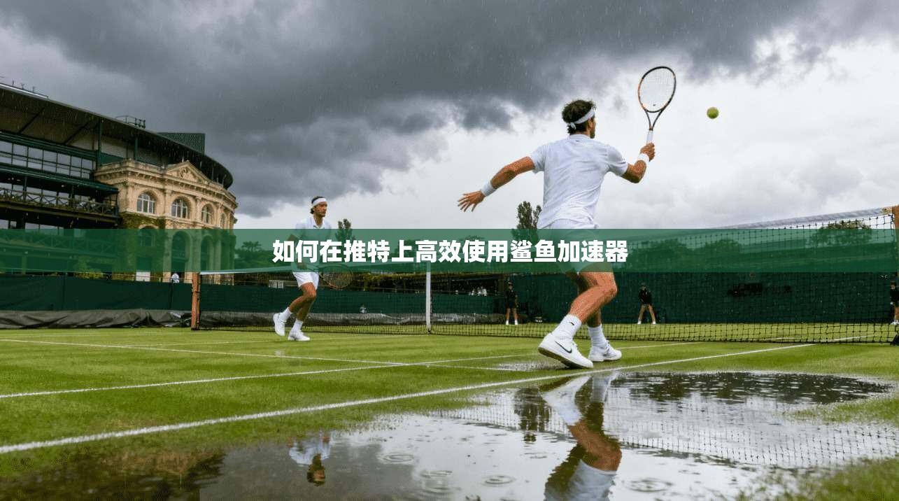如何在推特上高效使用鲨鱼加速器