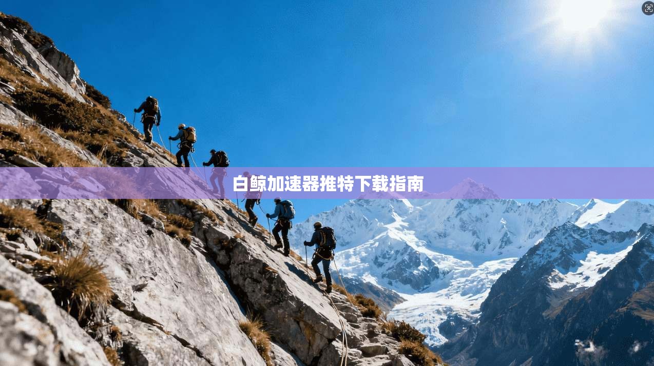 白鲸加速器推特下载指南