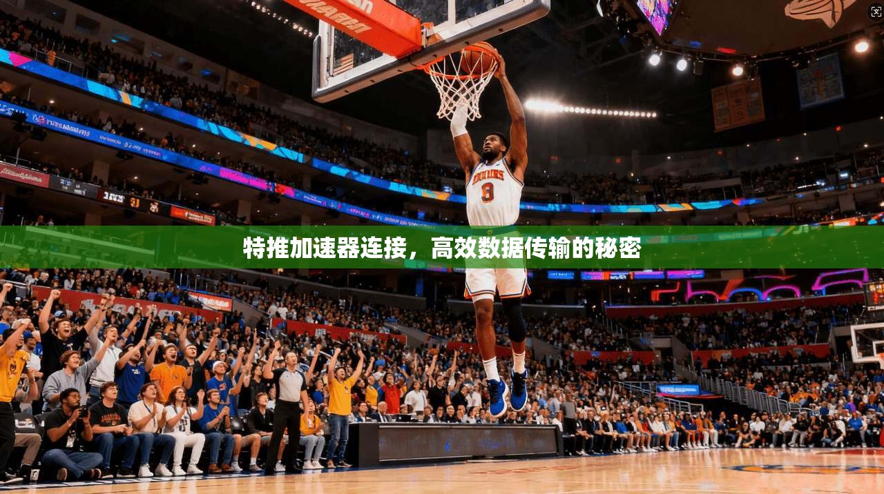 特推加速器连接，高效数据传输的秘密