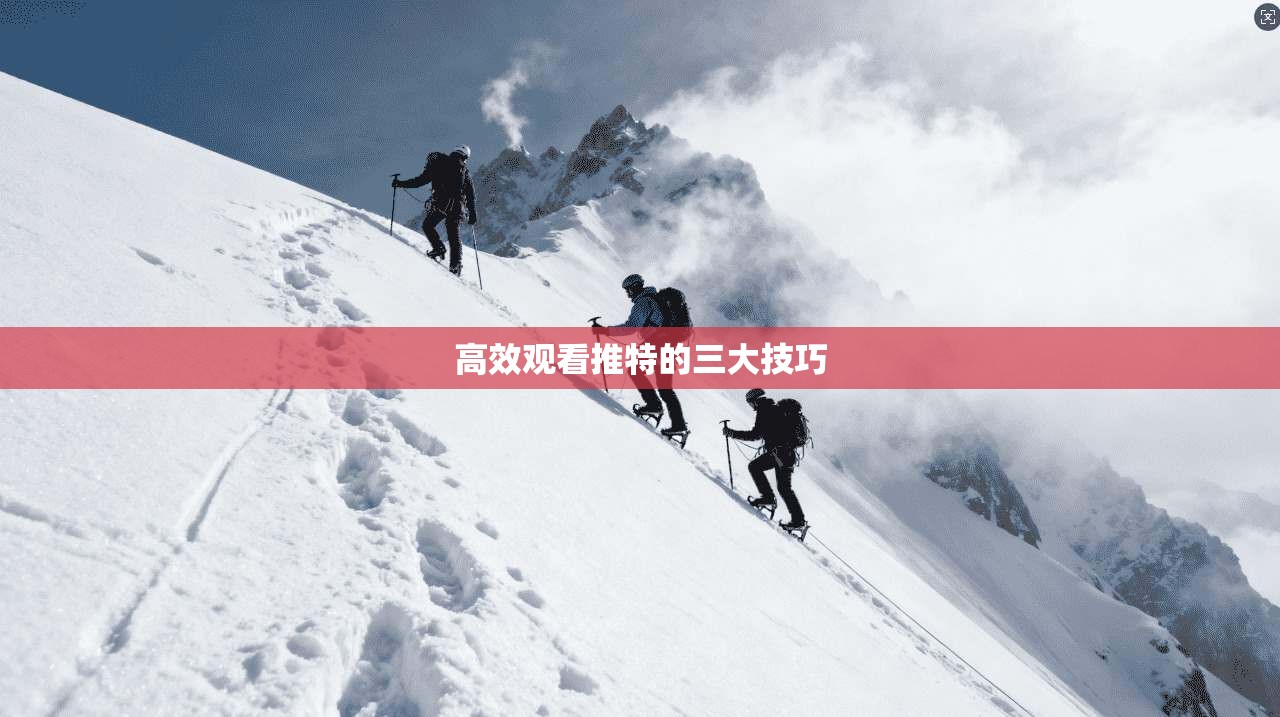 高效观看推特的三大技巧