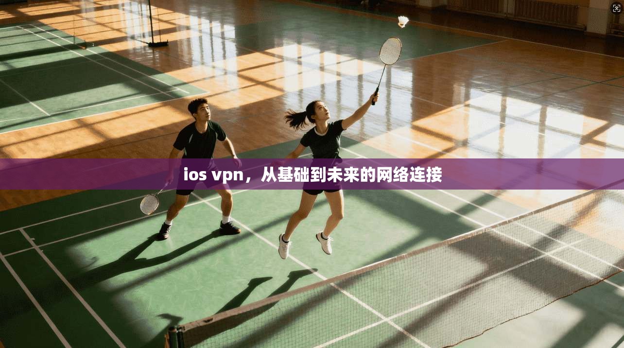 ios vpn，从基础到未来的网络连接