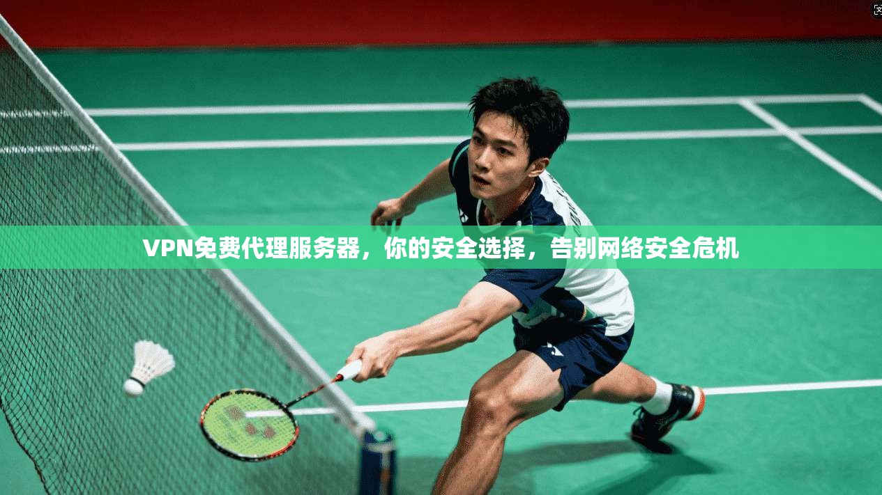 VPN免费代理服务器，你的安全选择，告别网络安全危机