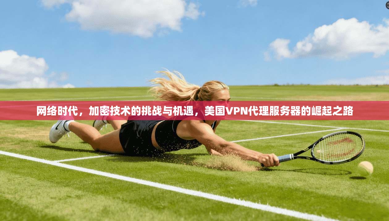 网络时代，加密技术的挑战与机遇，美国VPN代理服务器的崛起之路