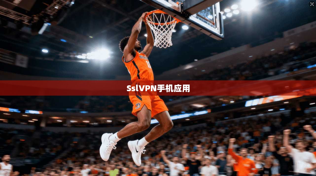 SslVPN手机应用