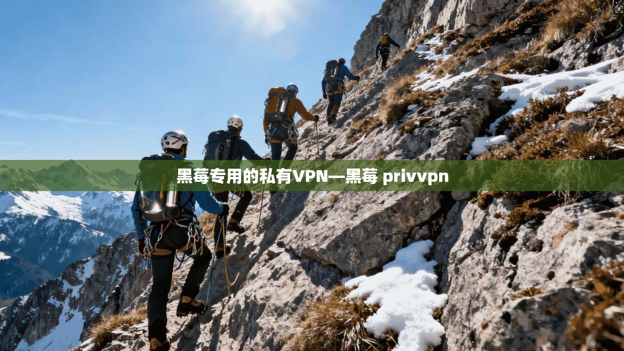 黑莓专用的私有VPN—黑莓 privvpn