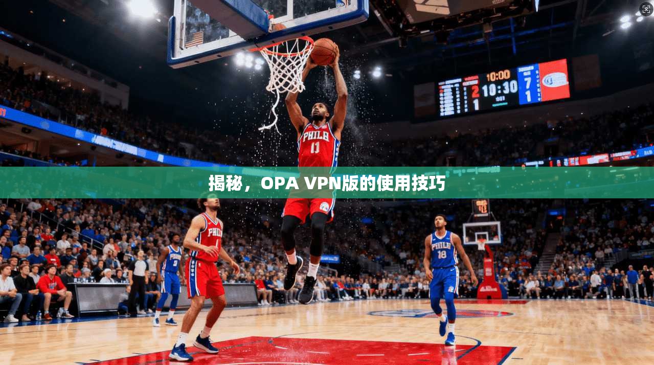 揭秘，OPA VPN版的使用技巧
