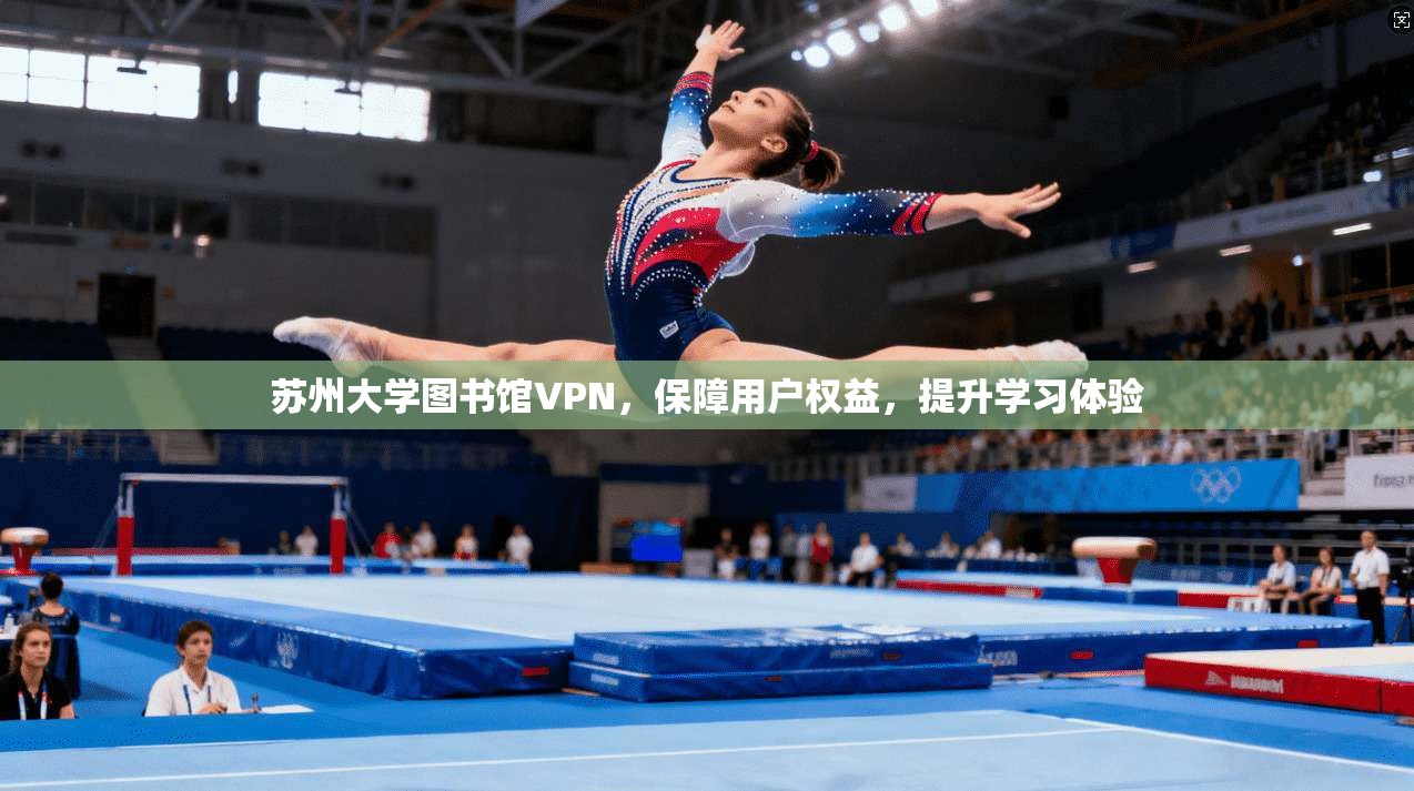 苏州大学图书馆VPN，保障用户权益，提升学习体验