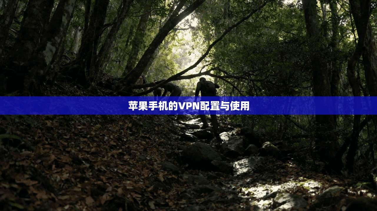 苹果手机的VPN配置与使用