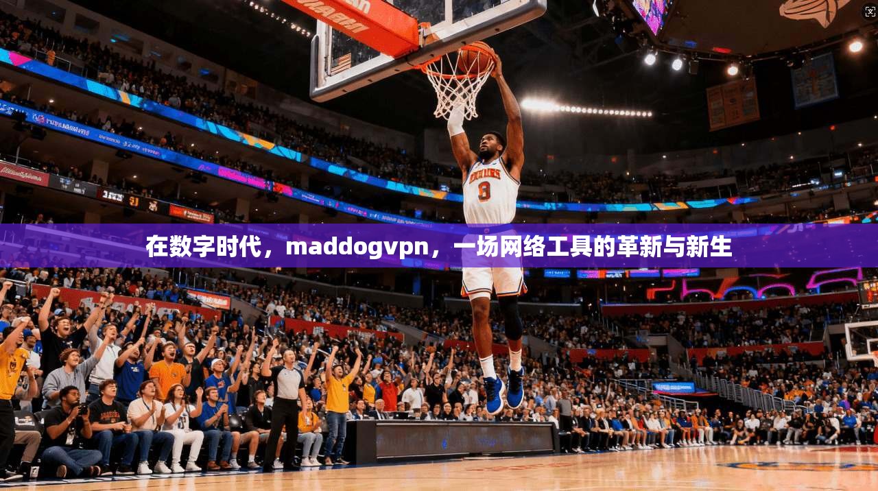 在数字时代，maddogvpn，一场网络工具的革新与新生