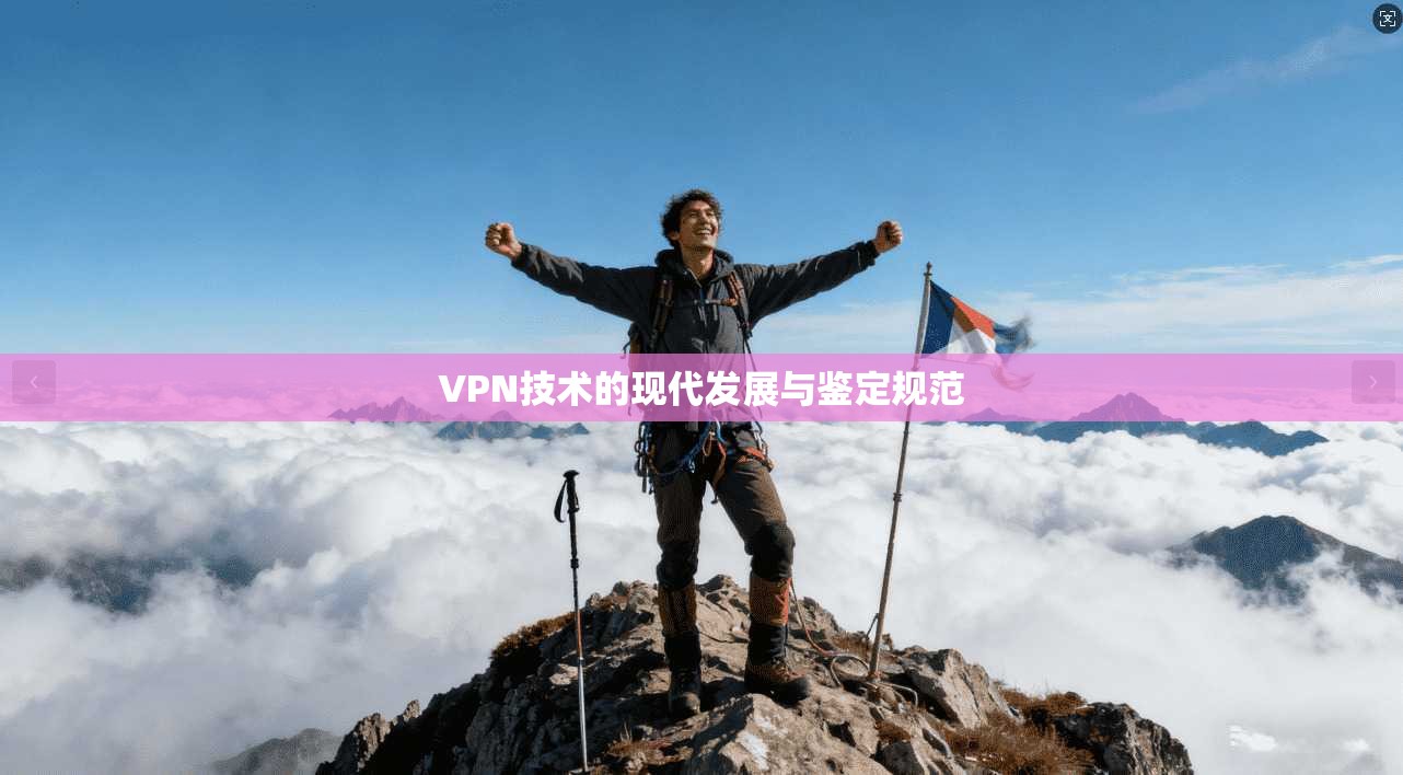 VPN技术的现代发展与鉴定规范