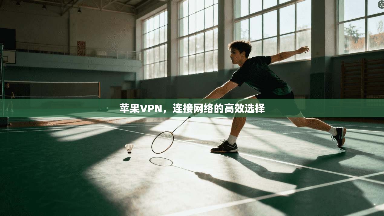 苹果VPN，连接网络的高效选择
