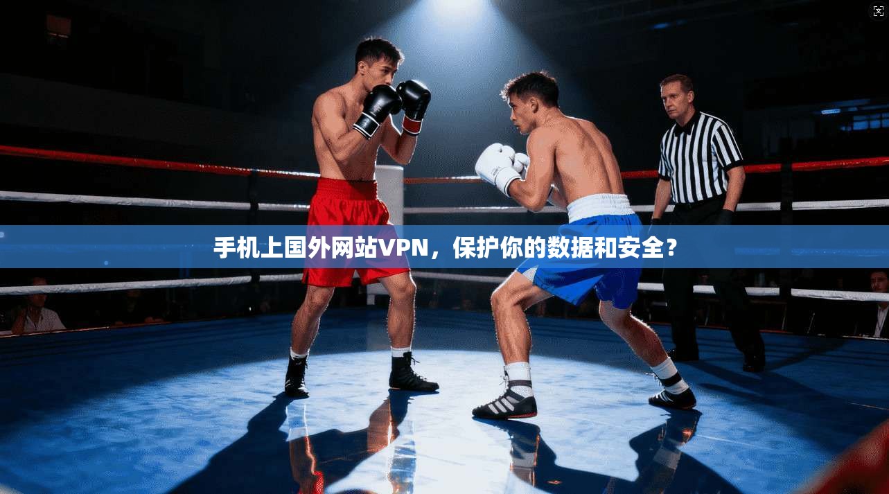 手机上国外网站VPN，保护你的数据和安全？