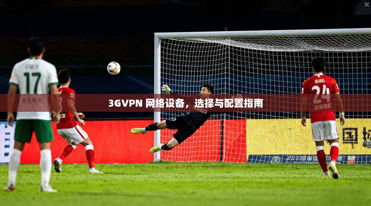 3GVPN 网络设备，选择与配置指南
