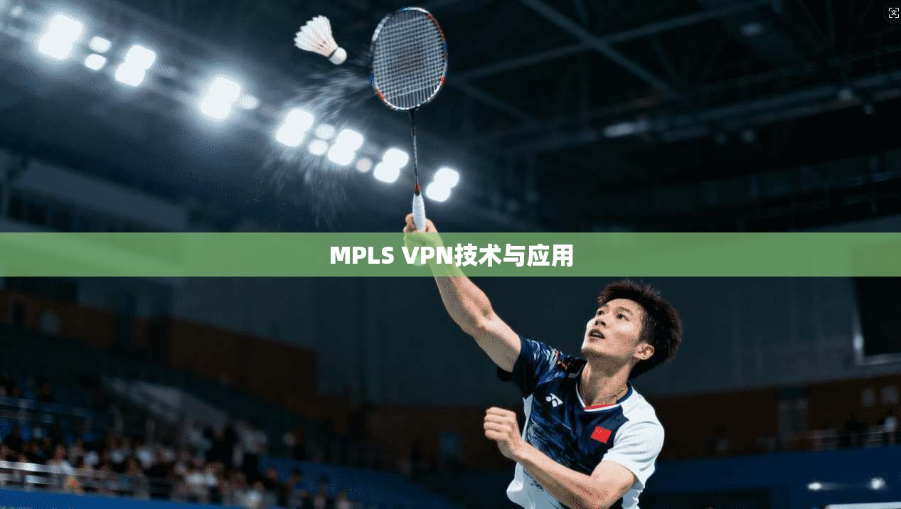 MPLS VPN技术与应用