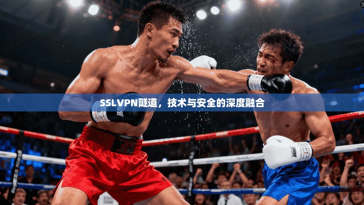 SSLVPN隧道，技术与安全的深度融合