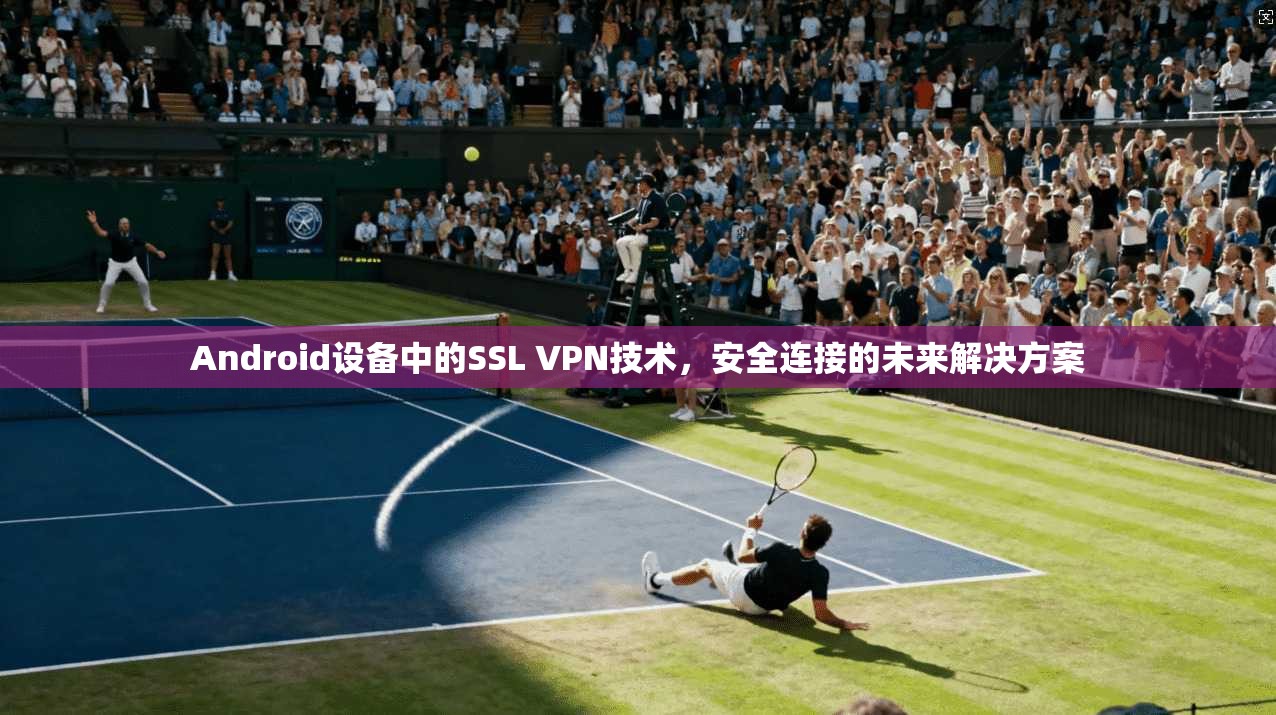 Android设备中的SSL VPN技术，安全连接的未来解决方案