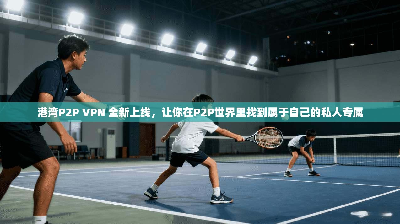 港湾P2P VPN 全新上线，让你在P2P世界里找到属于自己的私人专属