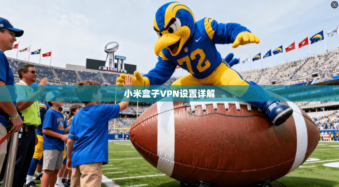 小米盒子VPN设置详解