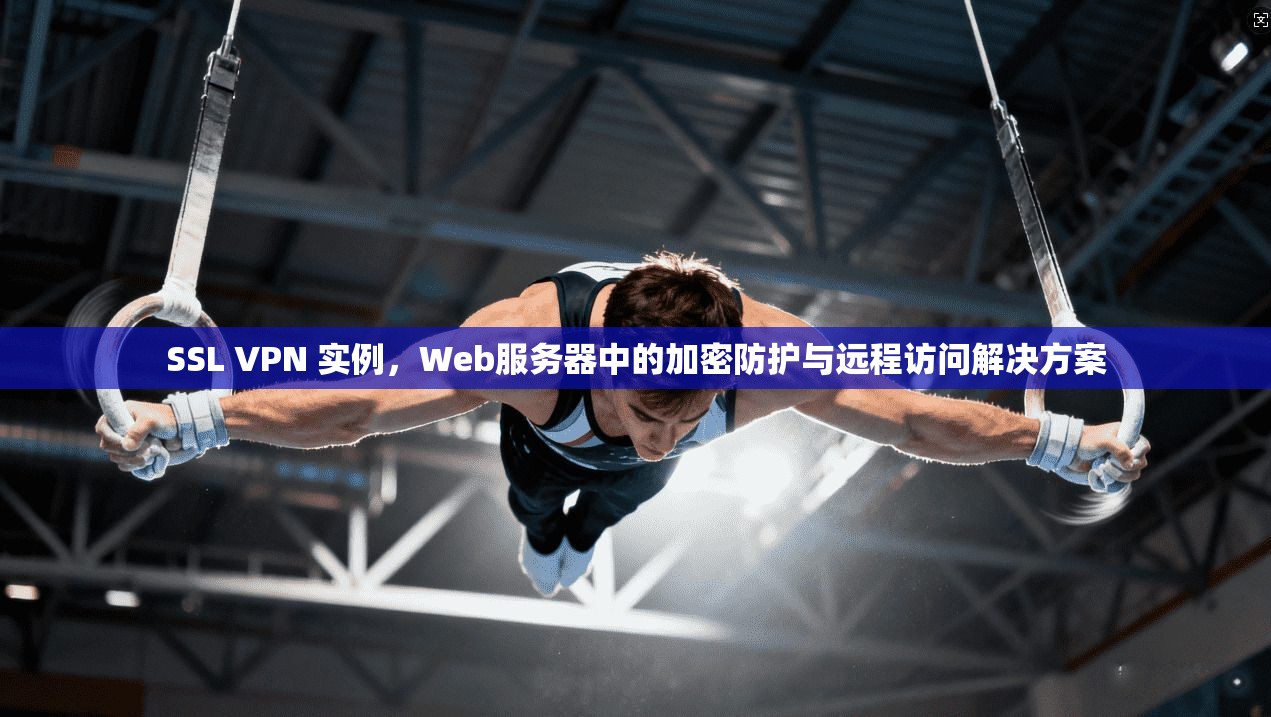 SSL VPN 实例，Web服务器中的加密防护与远程访问解决方案