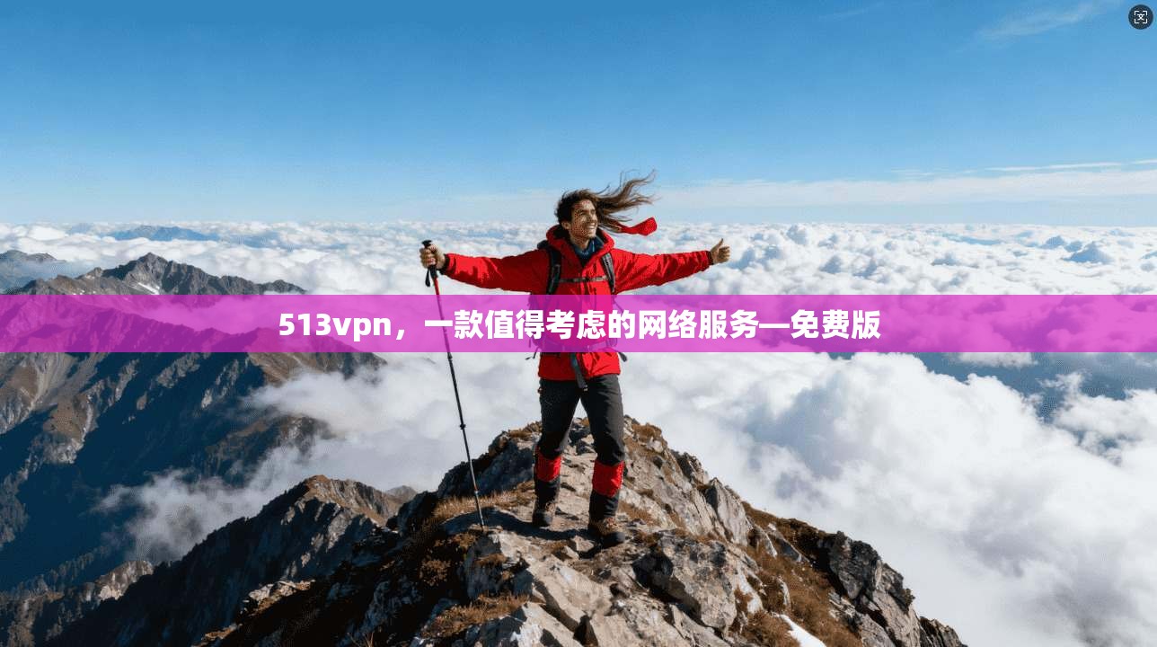 513vpn，一款值得考虑的网络服务—免费版