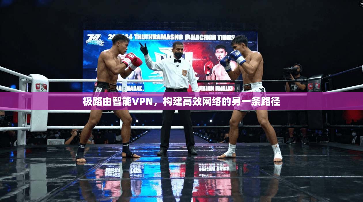 极路由智能VPN，构建高效网络的另一条路径