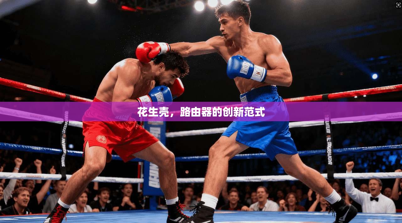 花生壳，路由器的创新范式