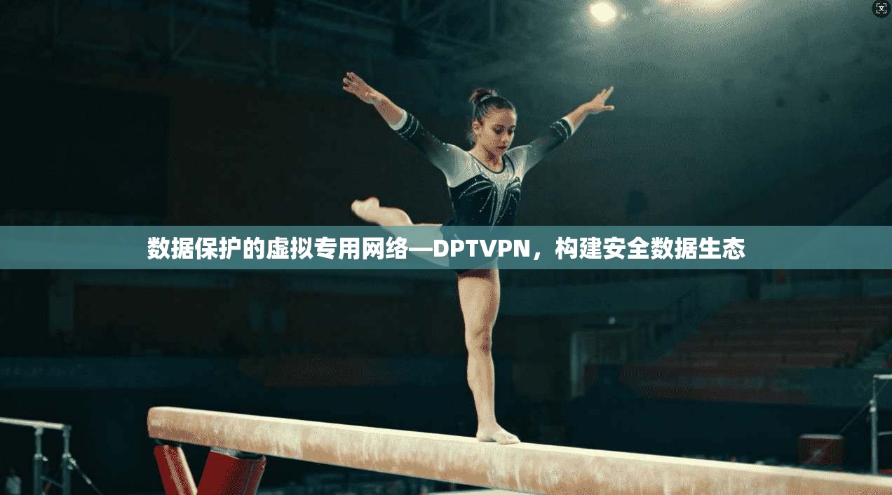 数据保护的虚拟专用网络—DPTVPN，构建安全数据生态