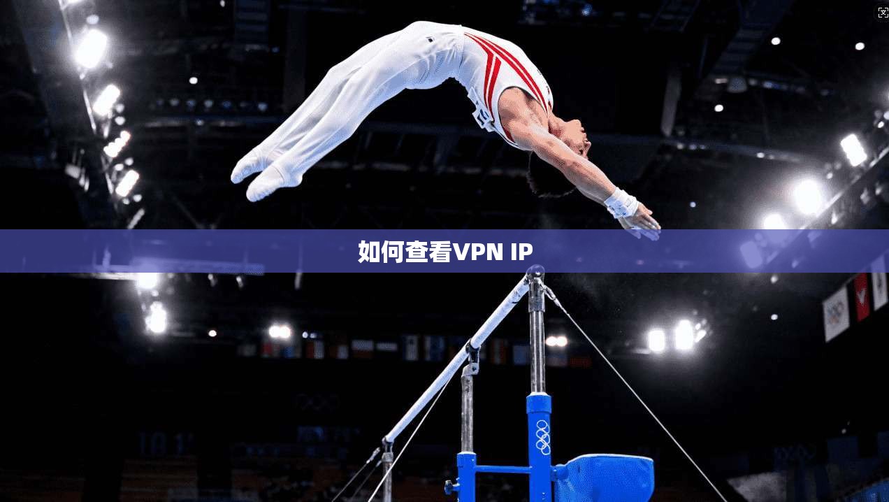 如何查看VPN IP