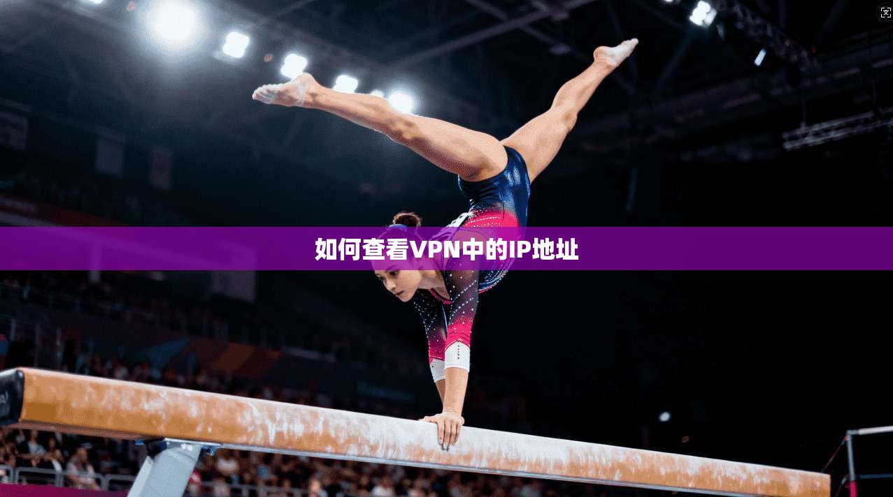 如何查看VPN中的IP地址