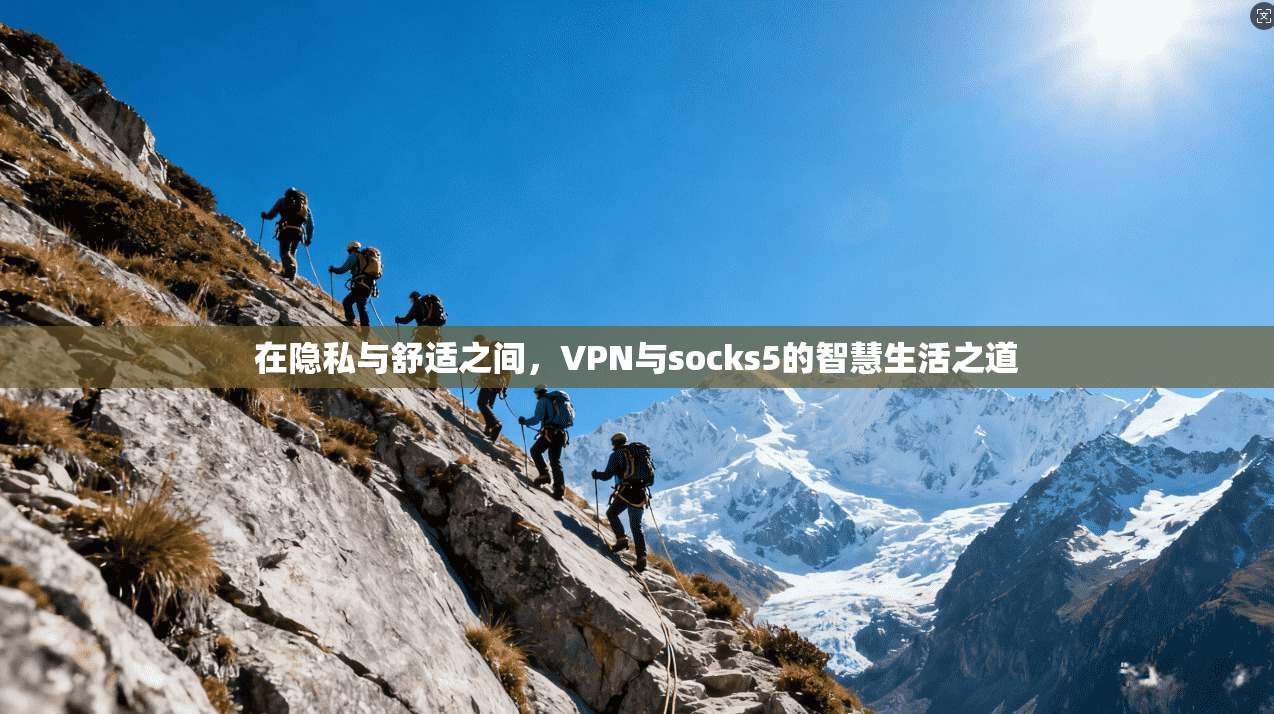 在隐私与舒适之间，VPN与socks5的智慧生活之道