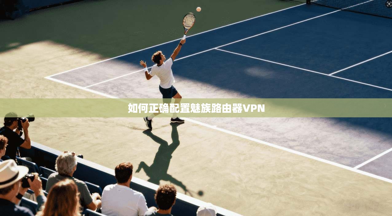 如何正确配置魅族路由器VPN