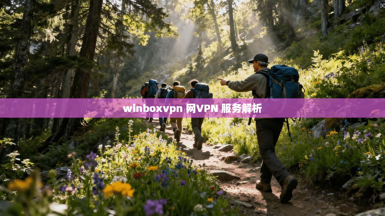 winboxvpn 网VPN 服务解析